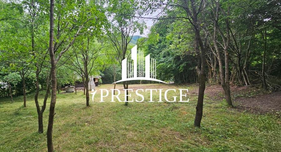 TEREN INTRAVILAN 1013 MP | UTILITĂȚI LA STRADĂ | ZONA PIATRA BROAȘTEI - 2