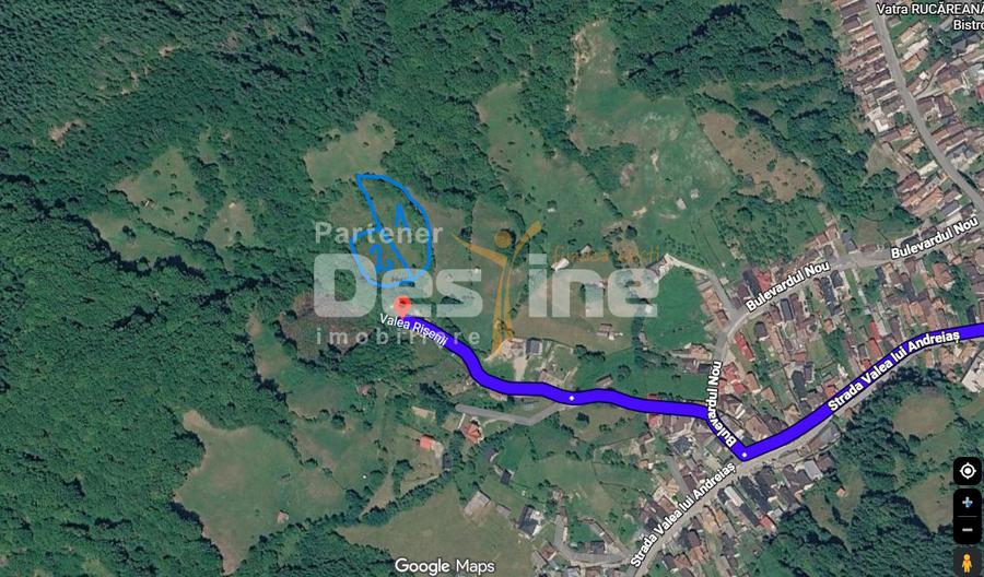 Teren 5000 mp, ideal cabana, pensiune, in zona de interes turistic Rucar-Bran