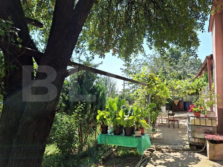 Casa 3 camere, 129mp, zona Viisoara , teren 1240mp