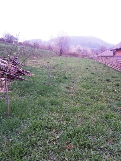 Teren Viisoara, Al.cel Bun