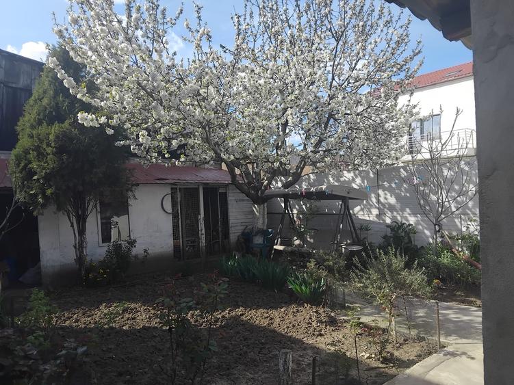 5217  Casa parter +etaj  KM 5