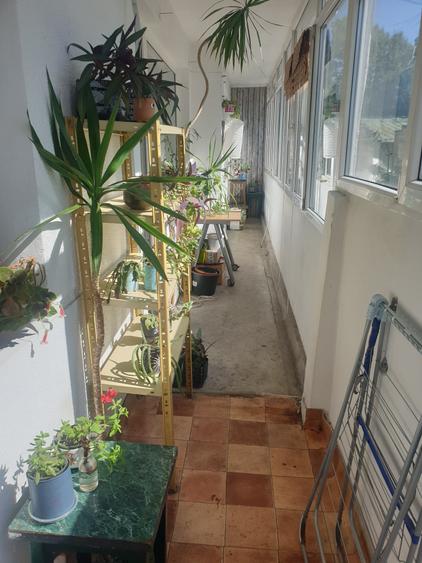 2camere, ultracentral, ideal investitie