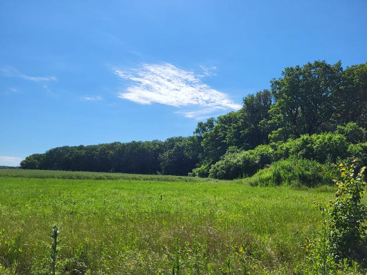 Oportunitate Unică! Teren de Vânzare aproape de Pădure – Ciolpani Izvorani