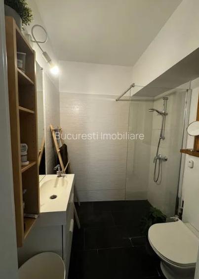 Piata  Victoriei metrou PARC .AMENAJAT LUX ,mobilat,utilat complet,TOTUL NOU. - 6