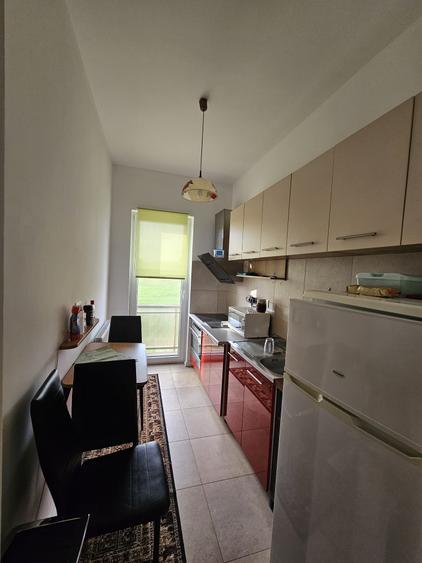 Inchiriez apartament tip studio cu garaj si anexa, Str. Terra, Cluj Napoca