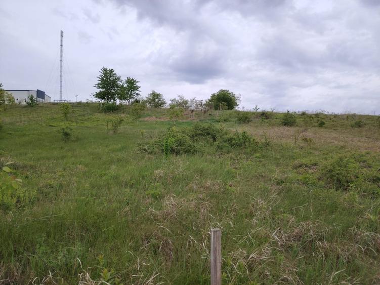 Teren intravilan 1800 mp, Centura-Ciurbesti-dubla deschidere