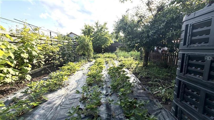Vila  de vanzare Iasi Aroneanu, Aroneanu, - 31