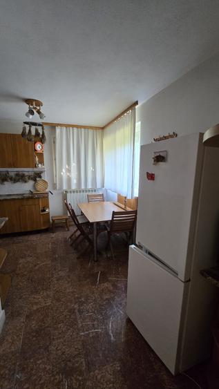 Vanzare vila P+1+M cu 5 camere, casa batraneasca , 2 garaje, teren 9249mp,