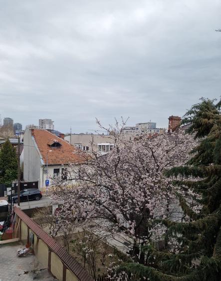 Timpuri Noi metrou, Splaiul Unirii , Vila P+2+M, NEMOBILATA, pretabila BIROURI