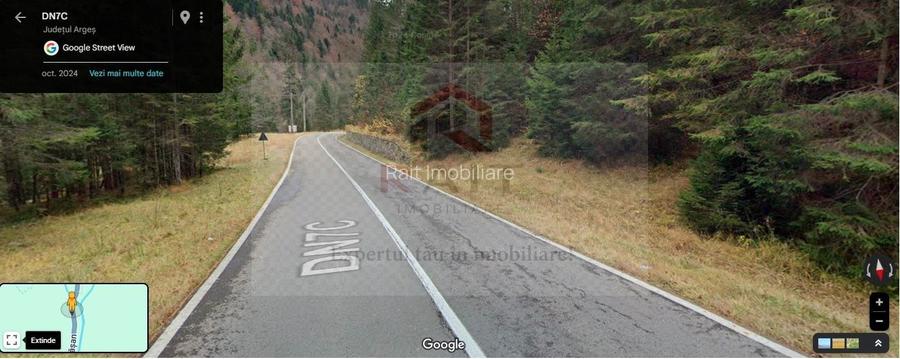 Teren extravilan tip pădure de vânzare 500 mp Arefu Transfăgărășan - 4