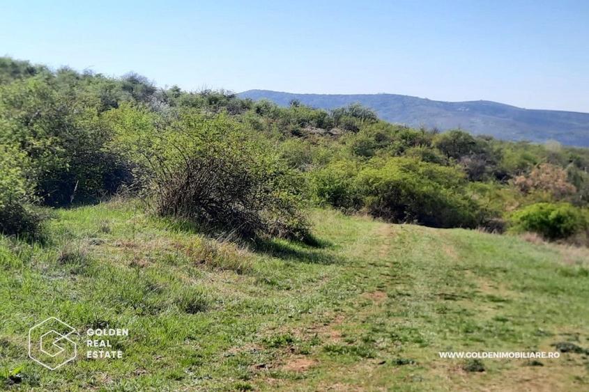 Teren intravilan Valea Domneasca,  localitatea Ghioroc