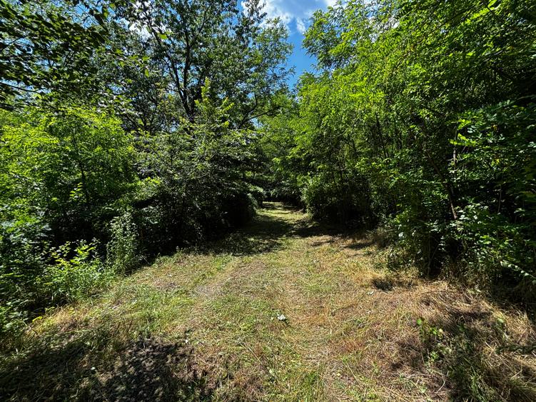 Teren Padure 6857 mp. intravilan Com Bujoreni-Valcea
