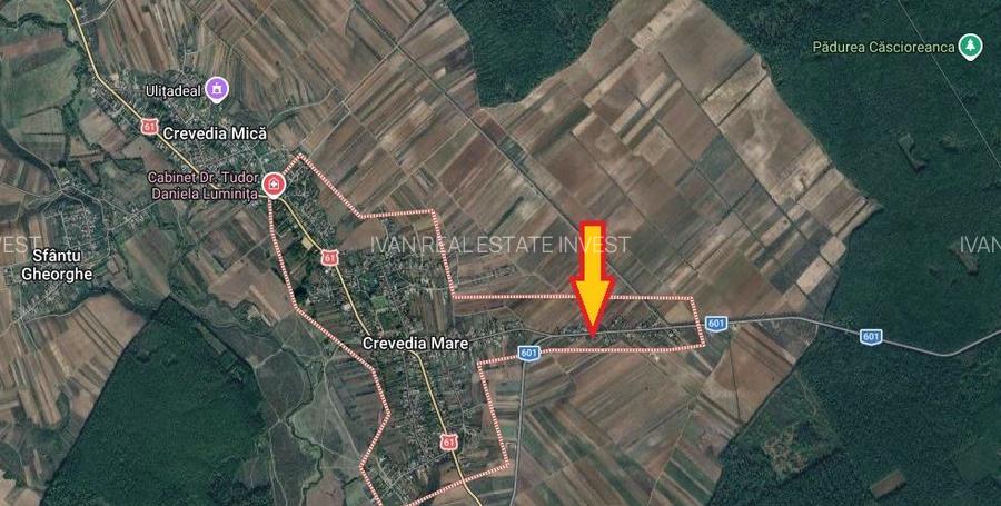 Crevedia Mare, Jud. Giurgiu, teren 5000 mp, deschidere 20 m la DJ 601 - 3