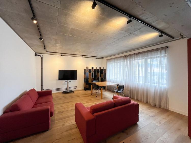 THE BRICK || INCOMPARABIL || 2 CAMERE || BARBU VACARESCU