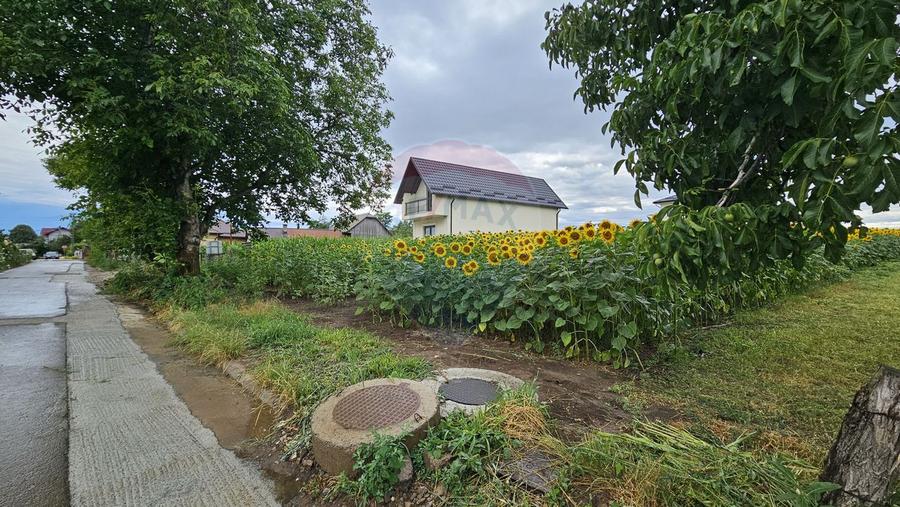 Teren intravilan 2600 mp de vânzare, Ipotești- Lisaura, Suceava