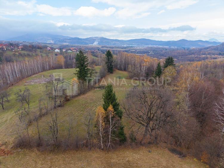 Teren intravilan, cu PUZ, Bran Tohanita, SE ACCEPTĂ ȘI SCHIMB