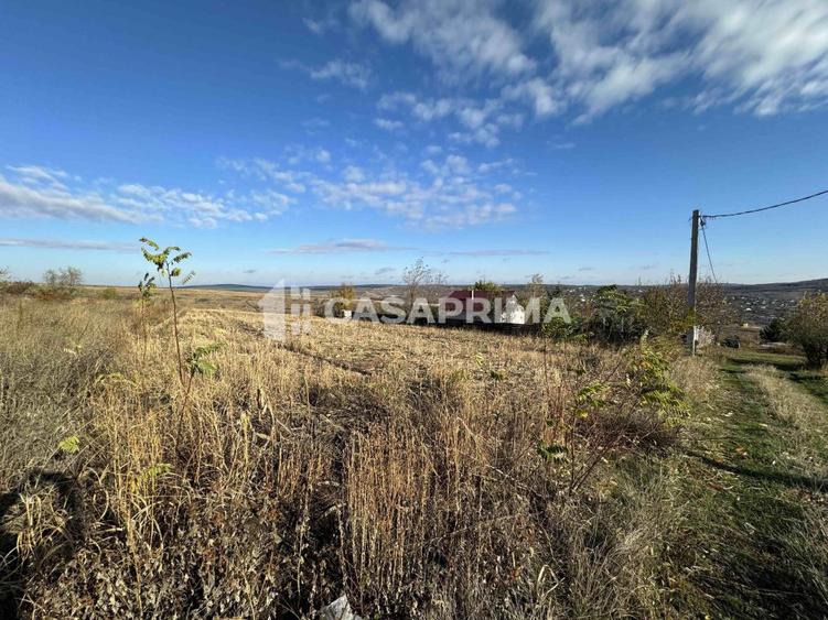 Teren 3000 mp, Sorogari - Aroneanu, ideal investitie, parcelat