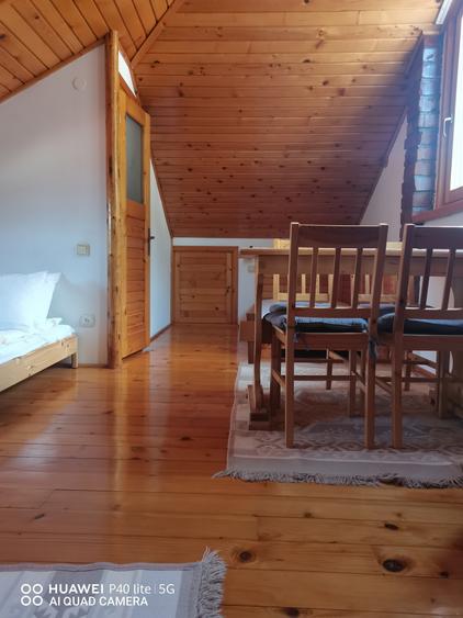 Apartament cu patru camere situat in Busteni