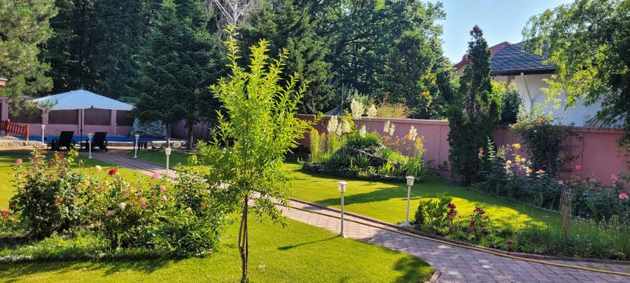 Vanzare Vila langa padure/ Iancu Nicolae