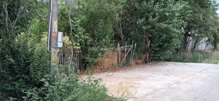 Teren Intravilan  in Tismana (Comuna Devesel), la 200 ml de Dunare - 4
