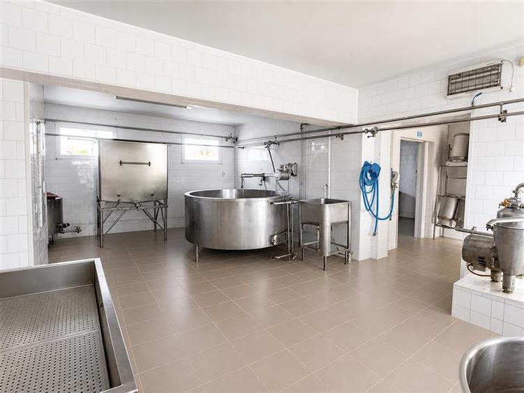 Unitate de procesare alimentara:potential industrial/investitional+birouri +1.30
