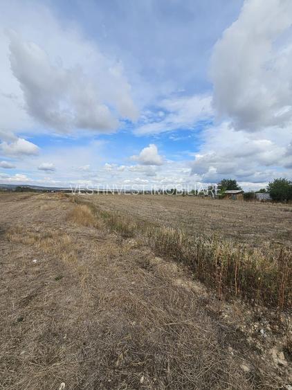 Teren Intravilan Sacadat 2000 mp
