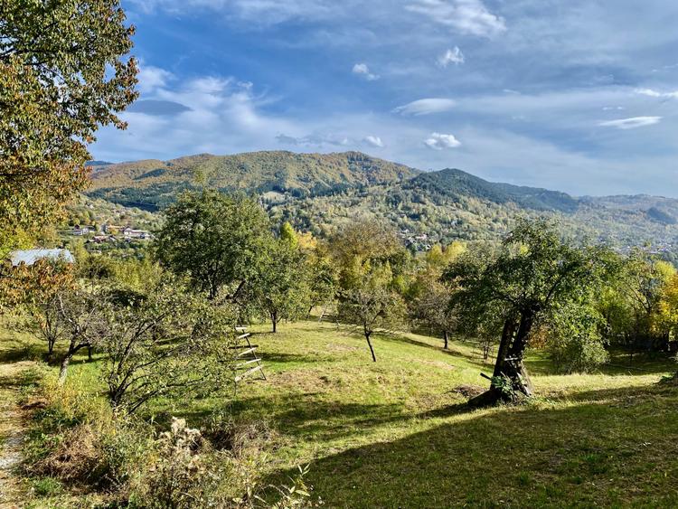 Teren panoramic retras, cu panta lina, utilități si livada