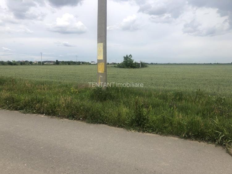 Vanzare Teren construibil 800mp 1 Decembrie Ilfov - 13