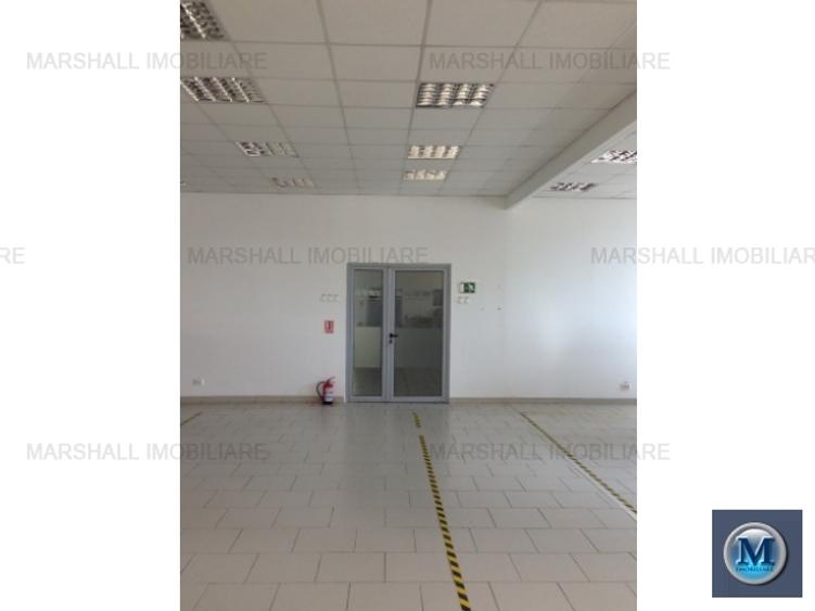 Spatiu  birouri de inchiriat in Paulestii Noi, 2361,24 mp mp #9967