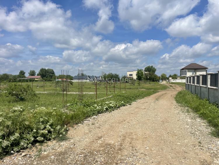 Domnești, Str Teiului, teren 1500mp, 40ml deschidere, utilități. - 3