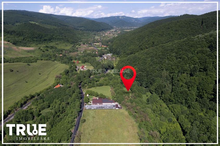 Teren intravilan 2.800 m² în Câmpu Cetății – liniște și natură - 2