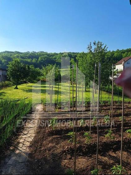 Teren intravilan | De vanzare | 600 mp | 13.6 ml deschidere | Ciugud