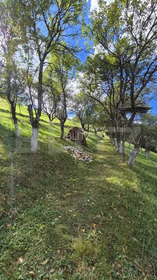 Casa 3 camere, 55 mp, teren 23.000 mp, zona pitoreasca-Poiana Marului - 10