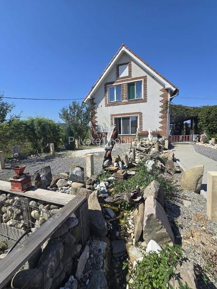 Casa cu piscina, 3450 Mp suprafata teren, Albesti, Mures - 16