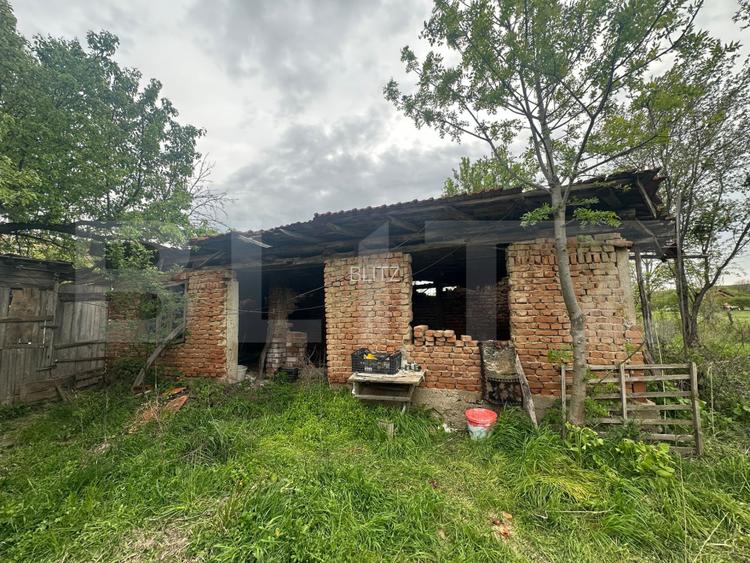 Casa de vanzare, 3 camere, 80 mp + teren de 2.077 mp - Curtisoara - 6