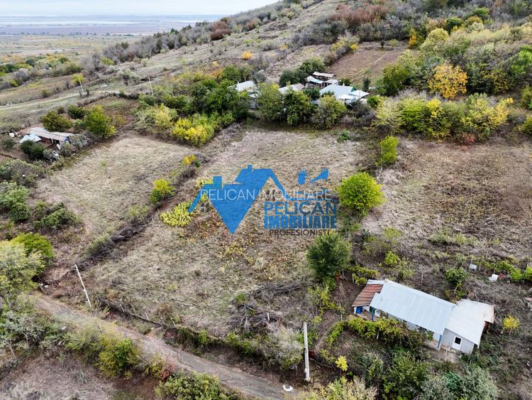 Teren intravilan NICULITEL, zona deosebita, 3044MP - 7