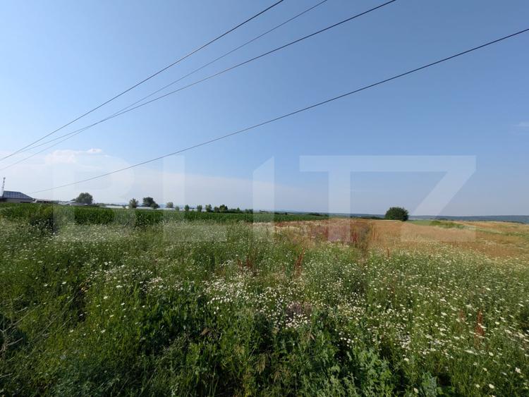 Teren de vanzare, 3.000 mp, utilități și acces asfaltat, zona Comișani
