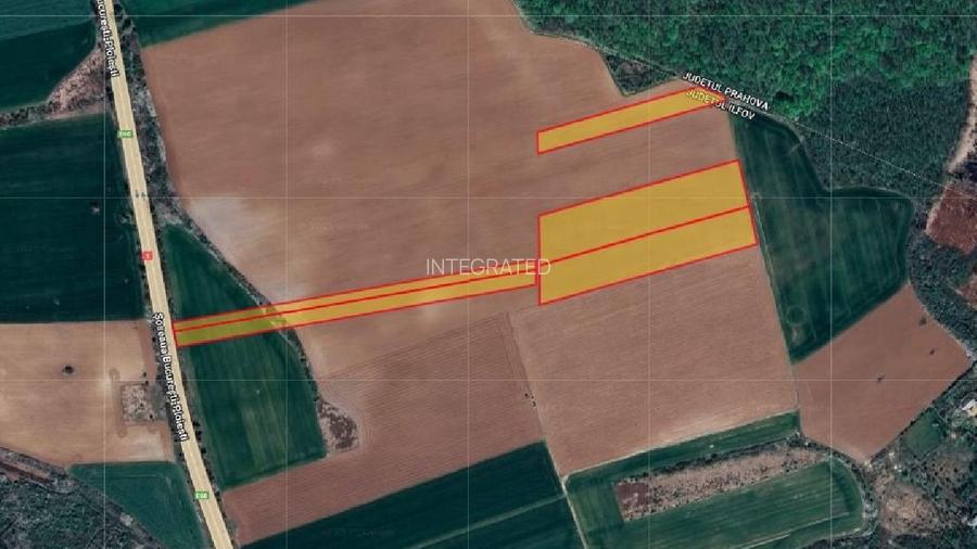 Ciolpani, Teren intravilan 4.5 Hectare - 3