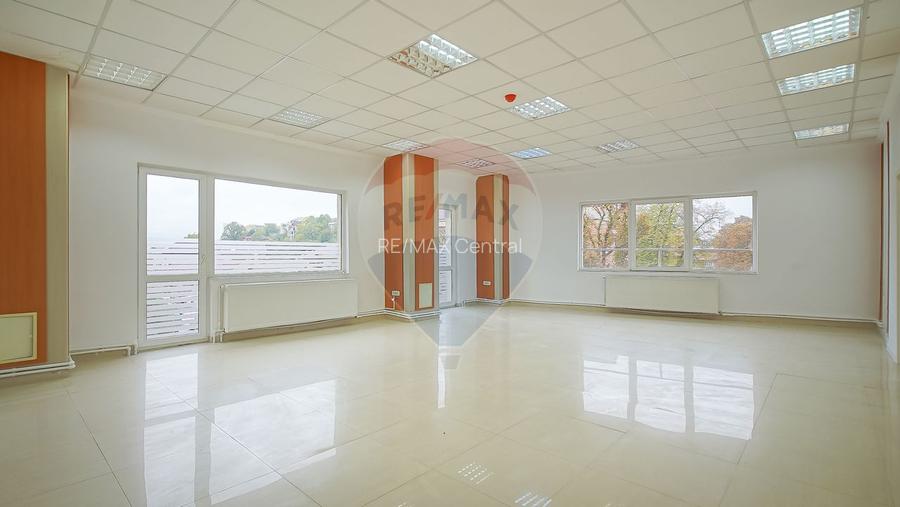 Spațiu de birouri - de închiriat (Zona CUZA - Etaj 3) - 5