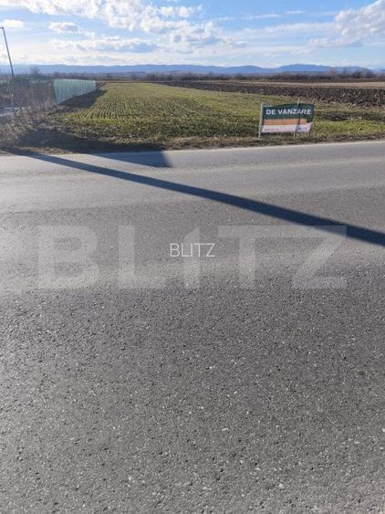 Teren intravilan ,4900 mp , 25ml front, Fratautii Vechi, Radauti - 5