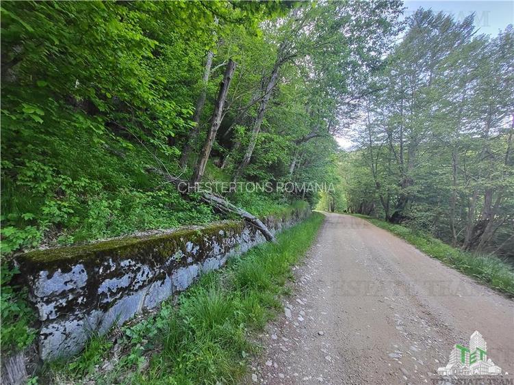 Teren Intravilan 12000 mp, Cascada Urlatoarea- Vama Buzaului, proiect aprobat pe - 3