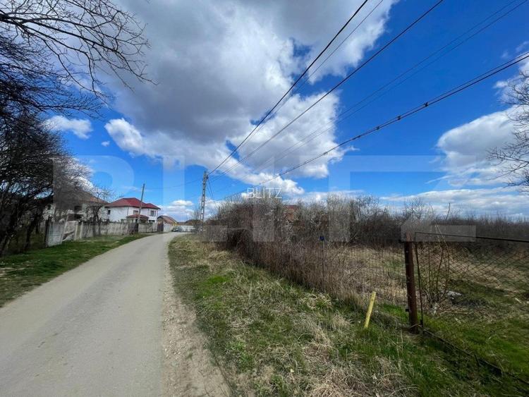Teren intravilan de 2623 mp, in comuna Balesti - 2
