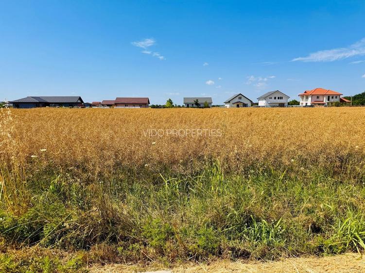 TEREN -INTRAVILLAN-SUPERB-SNAGOV-PADURE-UTILITATI - 3