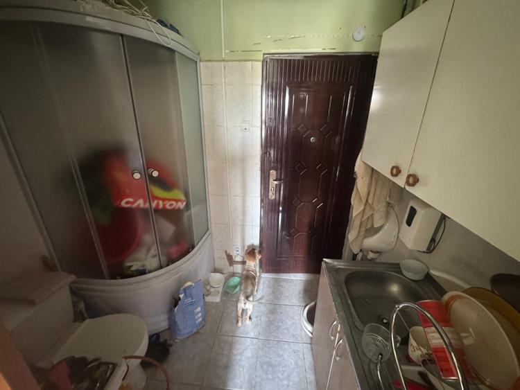 Camera de camin, 12 mp, zona Valea Rosie