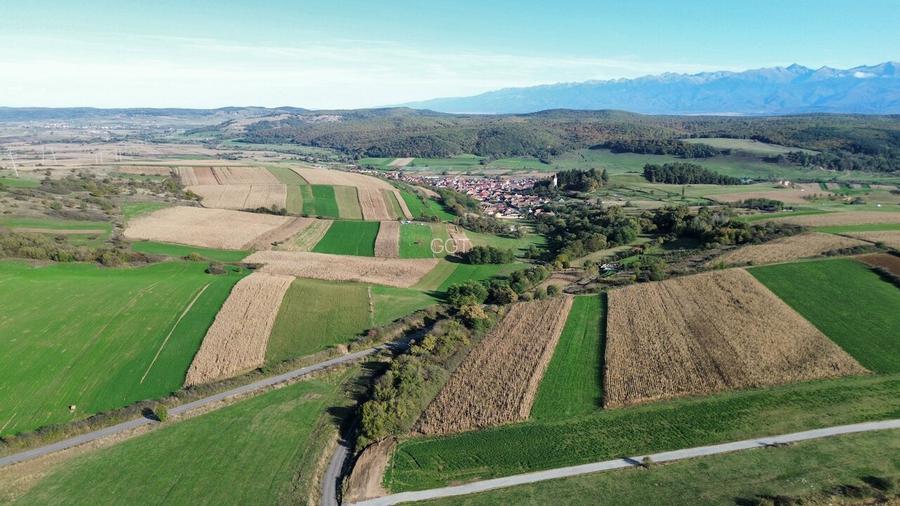 📏 teren pentru cabane Sibiu, Dealul Daii, Casolt, direct de la proprietar - 11