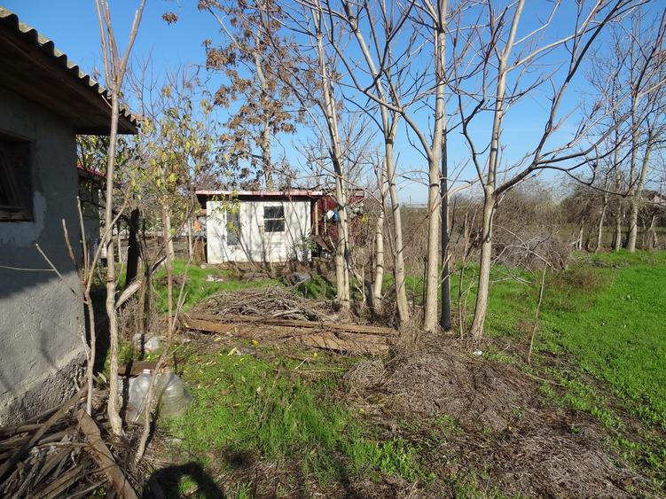 Teren cu casa, 3600mp, 4 camere de vanzare in Nicolae Balcescu