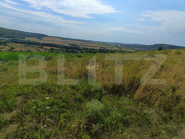 Teren extravilan, de vanzare, 6500 mp,  zona Crasnei - 4