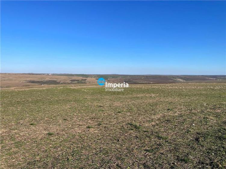 Rediu Horlesti 30000 mp Soseaua DJ 282