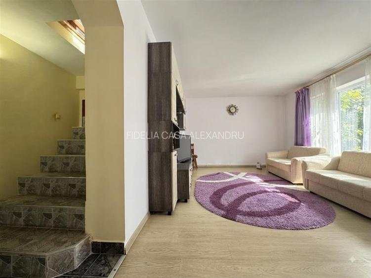 Vila  de vanzare  Valea Lupului,-Popas Pacurari - 10