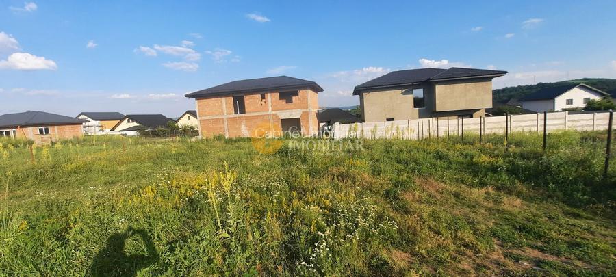🏡 Teren intravilan - Valea Adâncă, zona 5 Drumuri 🏡 - 2